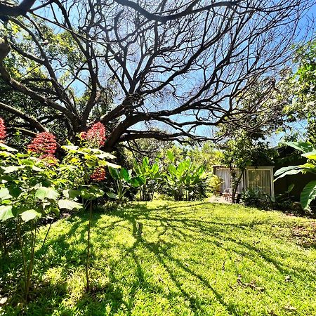 Larisa Resort Ashwem Mandrem Dış mekan fotoğraf